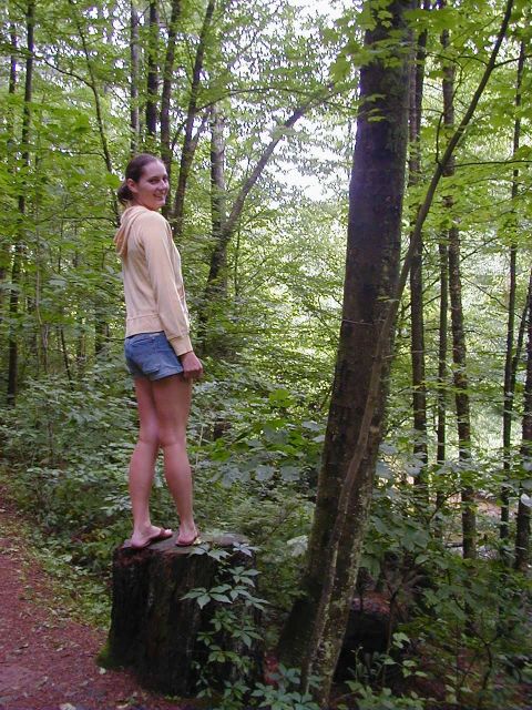 1994 Ford Probe - Woman poses on a tree stump surrounded by dense forest foliage.
