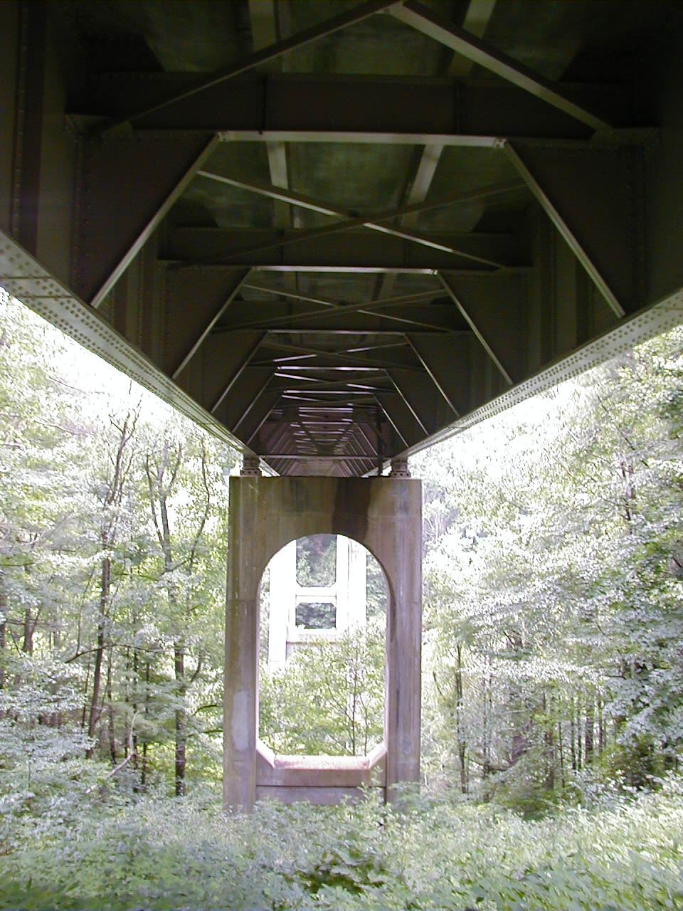 Looking up at the underside of a bridge with concrete supports and metal beams, surrounded by trees