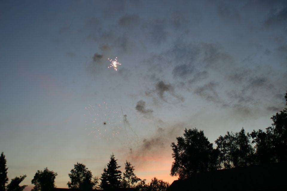 Fireworks explode in the twilight sky above silhouetted trees