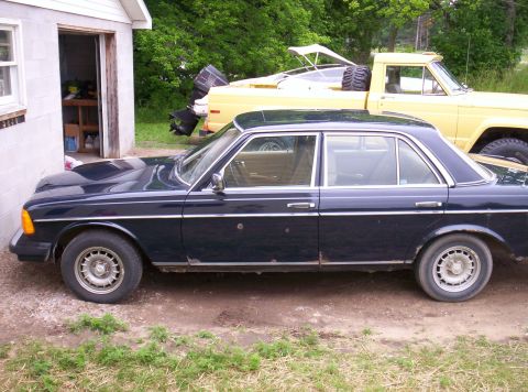 1983 Mercedes-Benz D-Class “The D”