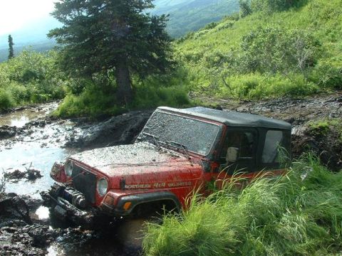 2000 Jeep Wrangler - A red Jeep TJ is stuck in a muddy trail, surrounded by lush green vegetation and trees.