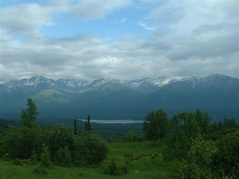 2000 Jeep Wrangler - Expansive view of mountains and a lake, with foreground trees and grass.