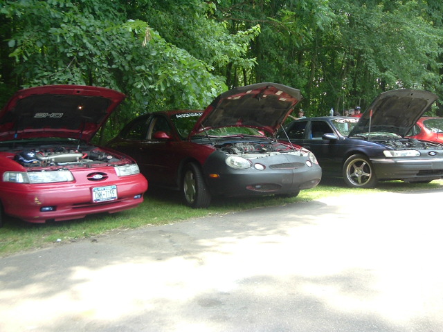 Three Ford Taurus cars parked in a row with their hoods up. The first car is red, the second is maroon with a black bra, and the third is dark blue