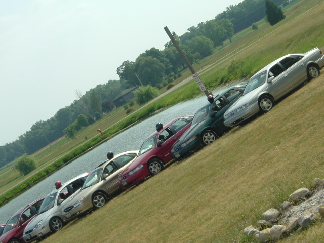 Line of sedans, mostly gold and silver, parked on a grassy slope by a lake