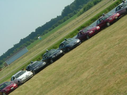 1993 Ford Taurus - Multiple 1993 Ford Tauruses are lined up on a grassy slope under a clear sky.