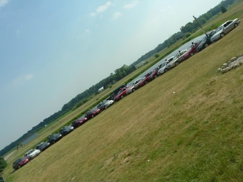 1993 Ford Taurus - A row of 1993 Ford Tauruses are parked on a grassy incline next to a body of water.