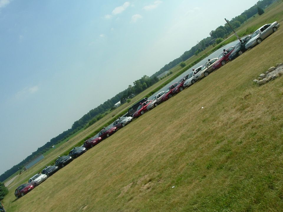 Line of 1993 Ford Tauruses parked on a grassy hill under a blue sky