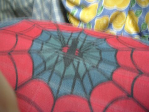 1993 Ford Taurus - A close-up of a Spider-Man web pattern on fabric, with a lemon-patterned cloth visible in the background.