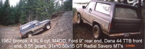 1982 Ford Bronco photo