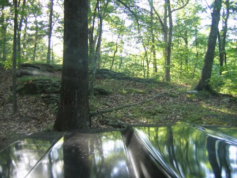 1976 GMC C/K Pickup - my woods