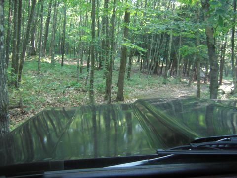 1976 GMC C/K Pickup - my woods