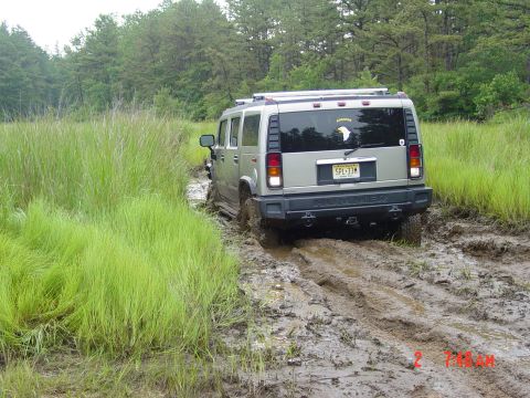 1995 Dodge 1500 - Hummer H2 navigating a muddy trail with tall grass and trees surrounding it.