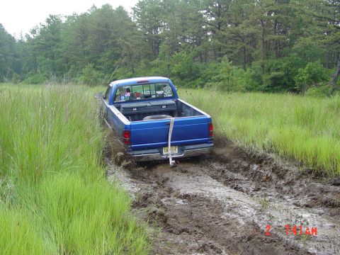 1995 Dodge 1500 - A blue 1995 Dodge 1500 pickup truck is stuck in a muddy trail surrounded by tall grass and trees.