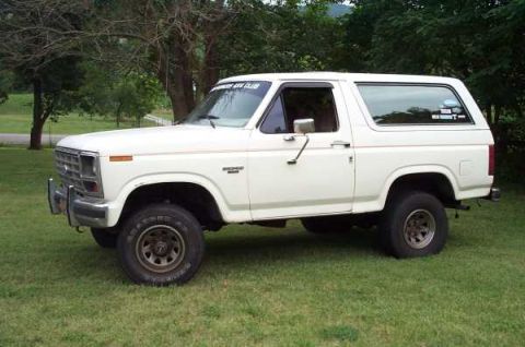 1985 Ford Bronco - A white Ford Bronco is parked on a grassy lawn with trees in the background.