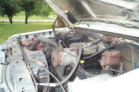 1985 Ford Bronco - The engine bay of a white truck is shown with the hood raised, revealing various mechanical components and wiring.