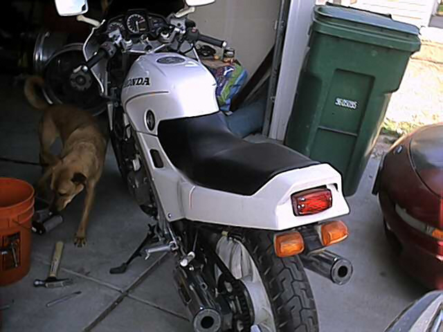 White Honda motorcycle rear view in garage with dog and green bin nearby