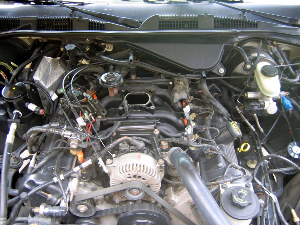Engine bay of a truck or SUV showing intake, alternator, valve covers, brake reservoir, and wiring
