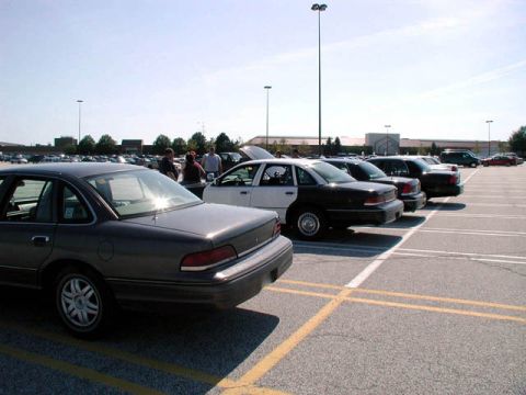 1994 Ford Crown Victoria - Black and white cv in the backround