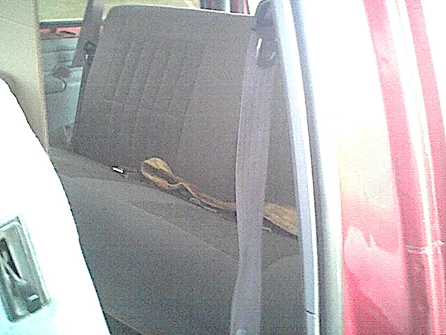 Vehicle interior showing gray fabric rear seat and seatbelt, with red exterior visible through the window
