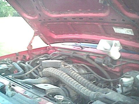 1994 Ford Bronco photo