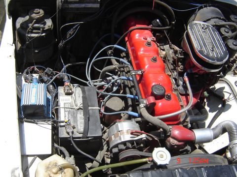 1977 Toyota Land Cruiser “Elizabeth”