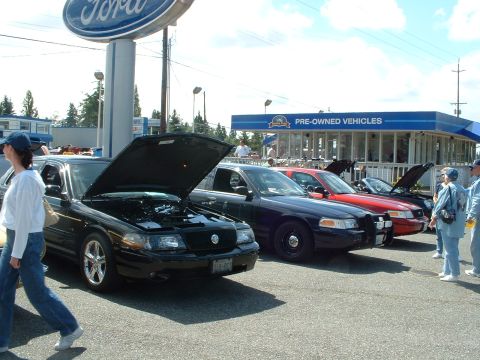1999 Ford Crown Victoria - Several Ford Crown Victorias are displayed with their hoods open at a dealership lot.