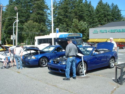 1999 Ford Crown Victoria - Two blue sports cars are displayed with their hoods open at an outdoor event.