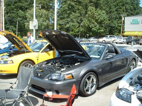 1999 Ford Crown Victoria - Several Ford Mustangs are displayed with their hoods open at an outdoor car show.