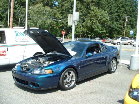 1999 Ford Crown Victoria - A blue Ford Mustang is parked with its hood open, revealing the engine compartment. A white van is to its left.