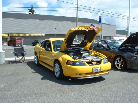 1999 Ford Crown Victoria - A yellow Ford Mustang is parked with its hood open, displaying the engine and an American flag.