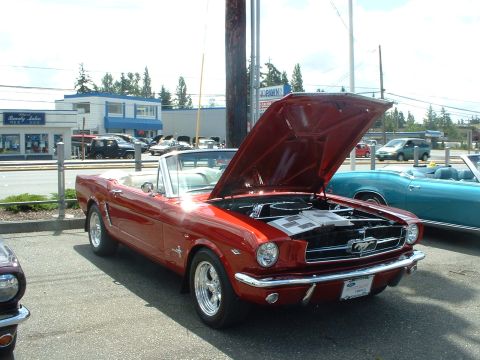 1999 Ford Crown Victoria - A red 1965 Ford Mustang convertible is displayed with its hood open, parked next to a teal convertible.