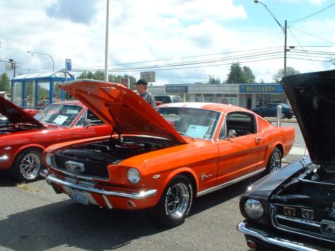 1999 Ford Crown Victoria - Several classic Ford Mustangs are displayed with their hoods open at an outdoor car show.