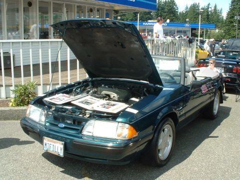 1999 Ford Crown Victoria - A dark green Ford Mustang convertible is displayed with its hood open at an outdoor car show.