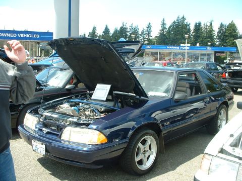 1999 Ford Crown Victoria - Dark blue coupe with hood open at a Ford dealership event.