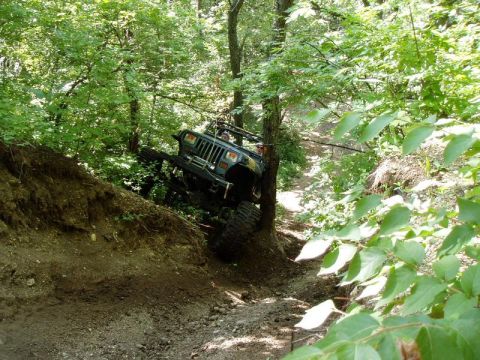 1992 Ford Bronco - Jeep Wrangler navigates a challenging off-road trail through a dense forest.