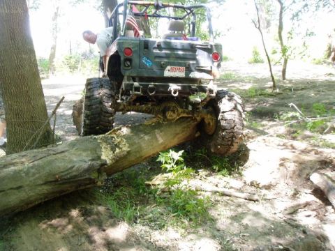 1992 Ford Bronco - A man watches as a green Jeep Wrangler with large tires navigates over a fallen tree in a wooded area.
