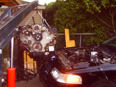 1998 Ford Crown Victoria photo