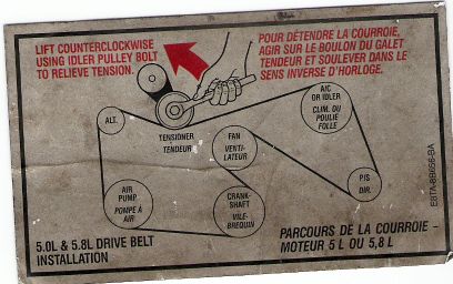 1989 Ford Bronco - This diagram illustrates the routing for a 5.0L & 5.8L engine drive belt system.