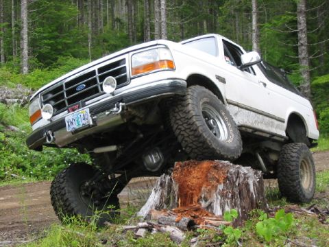 1995 Ford Bronco - This 1995 Ford Bronco is shown with its suspension flexed as it sits atop a large tree stump.