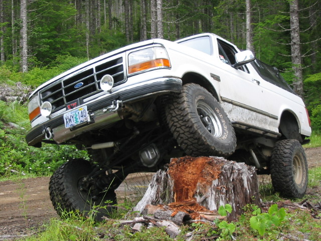 White lifted Ford Bronco climbing a tree stump on a forest trail with large mud tires.