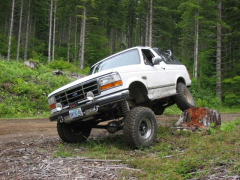 1995 Ford Bronco - 1995 Ford Bronco navigating rough terrain on a forest trail, demonstrating its off-road capabilities.