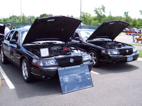2001 Ford Crown Victoria - Two black Mercury Marauders are displayed with their hoods open at an outdoor car show.