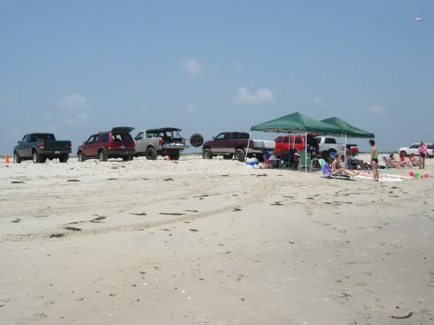 1995 Ford Bronco - People and vehicles gathered on a beach under a sunny sky.