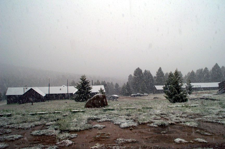Two cars parked in a snowy field with buildings and trees in the background