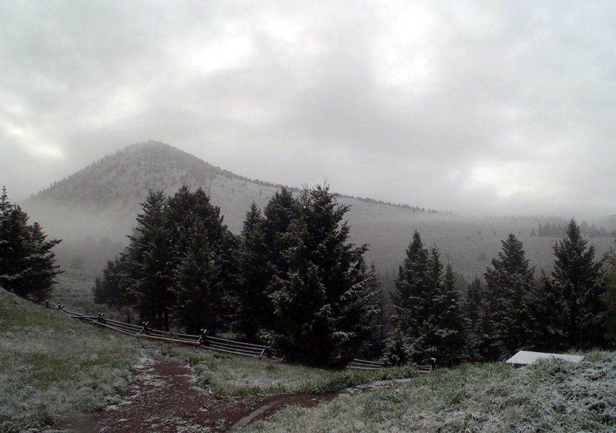 Snowy mountain landscape with pine trees, a wooden fence, and a dirt path