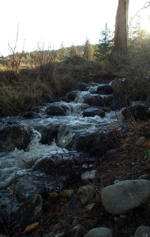 1996 Ford Bronco - A natural scene of a stream flowing over rocks in a forest, with sunlight dappling the landscape.