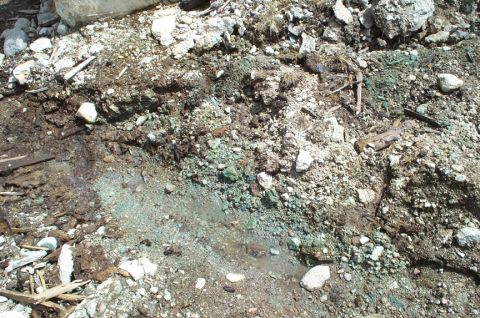1996 Ford Bronco - A close-up view of a geological sample, showing various rocks and soil with noticeable green mineral deposits.