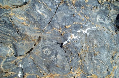 1996 Ford Bronco - This image shows a rock formation with distinct circular patterns and mineral veins, not a vehicle.