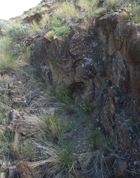 1996 Ford Bronco - A natural landscape scene a rocky incline covered with dry grass and sparse vegetation.
