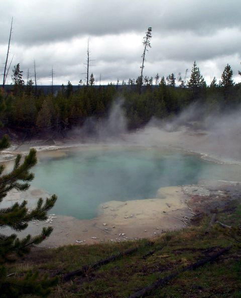 1996 Ford Bronco - A geothermal hot spring emits steam under a cloudy sky, with trees in the background.